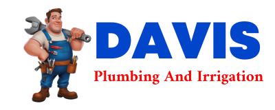 Trusted plumber in TIGERVILLE